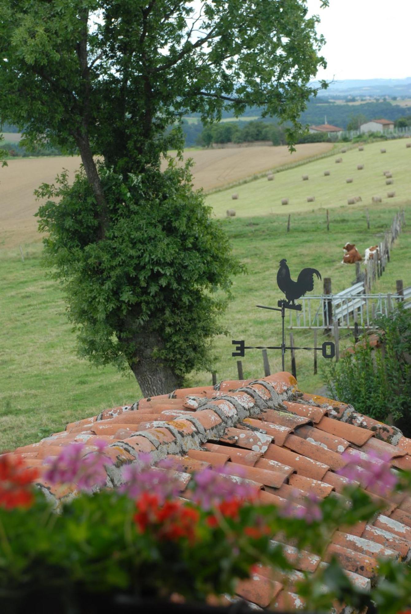 Chez Jacotte Et Elia Bed & Breakfast Saint-Galmier Luaran gambar