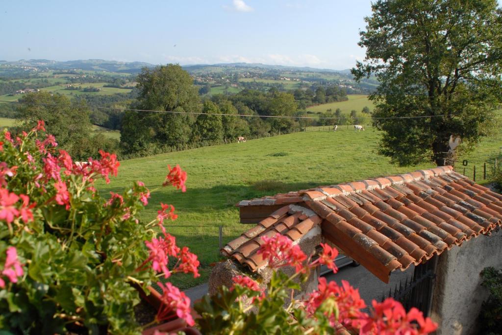Chez Jacotte Et Elia Bed & Breakfast Saint-Galmier Luaran gambar