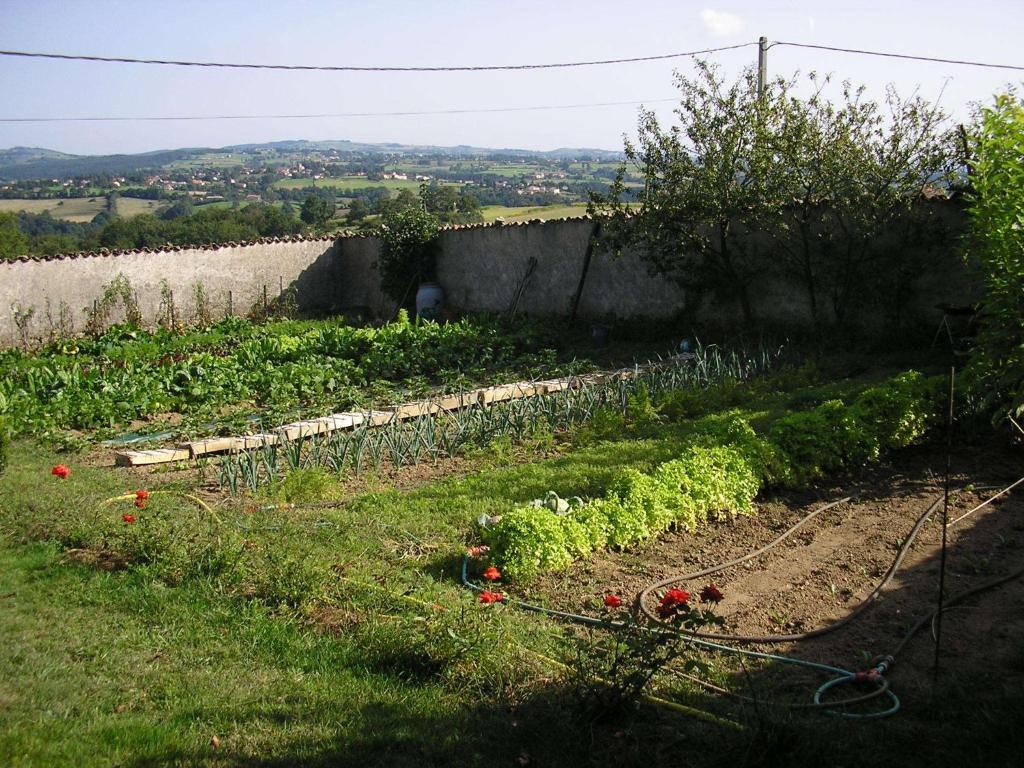 Chez Jacotte Et Elia Bed & Breakfast Saint-Galmier Luaran gambar