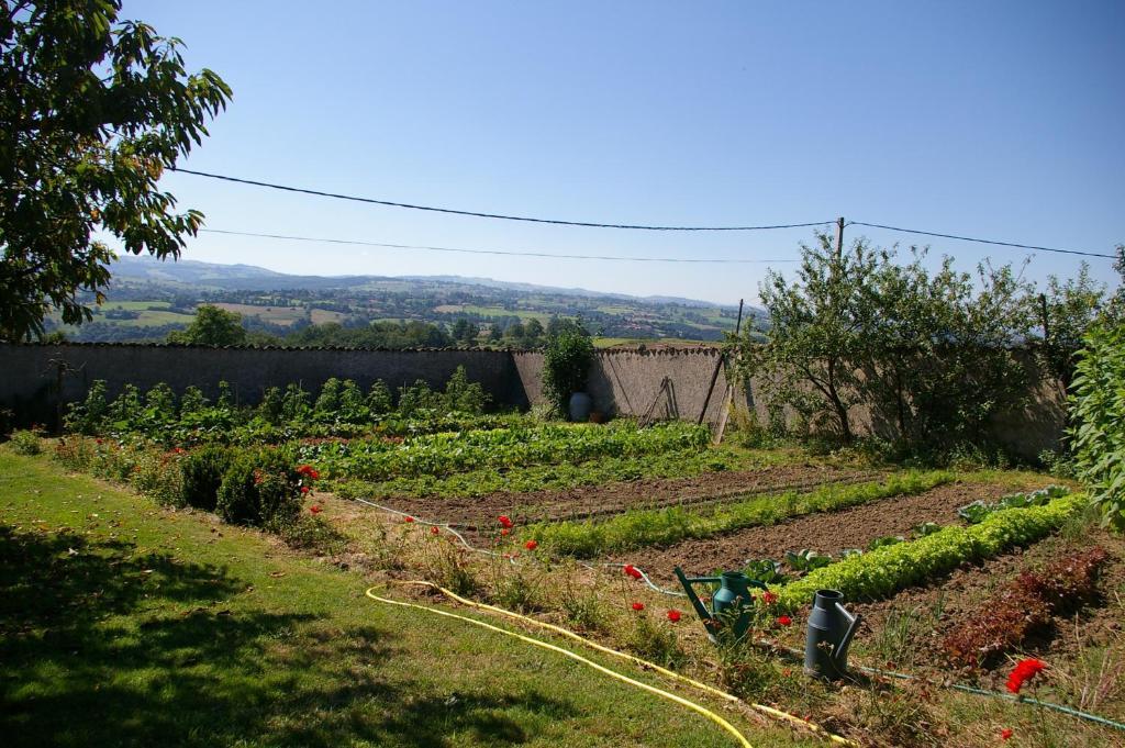 Chez Jacotte Et Elia Bed & Breakfast Saint-Galmier Luaran gambar