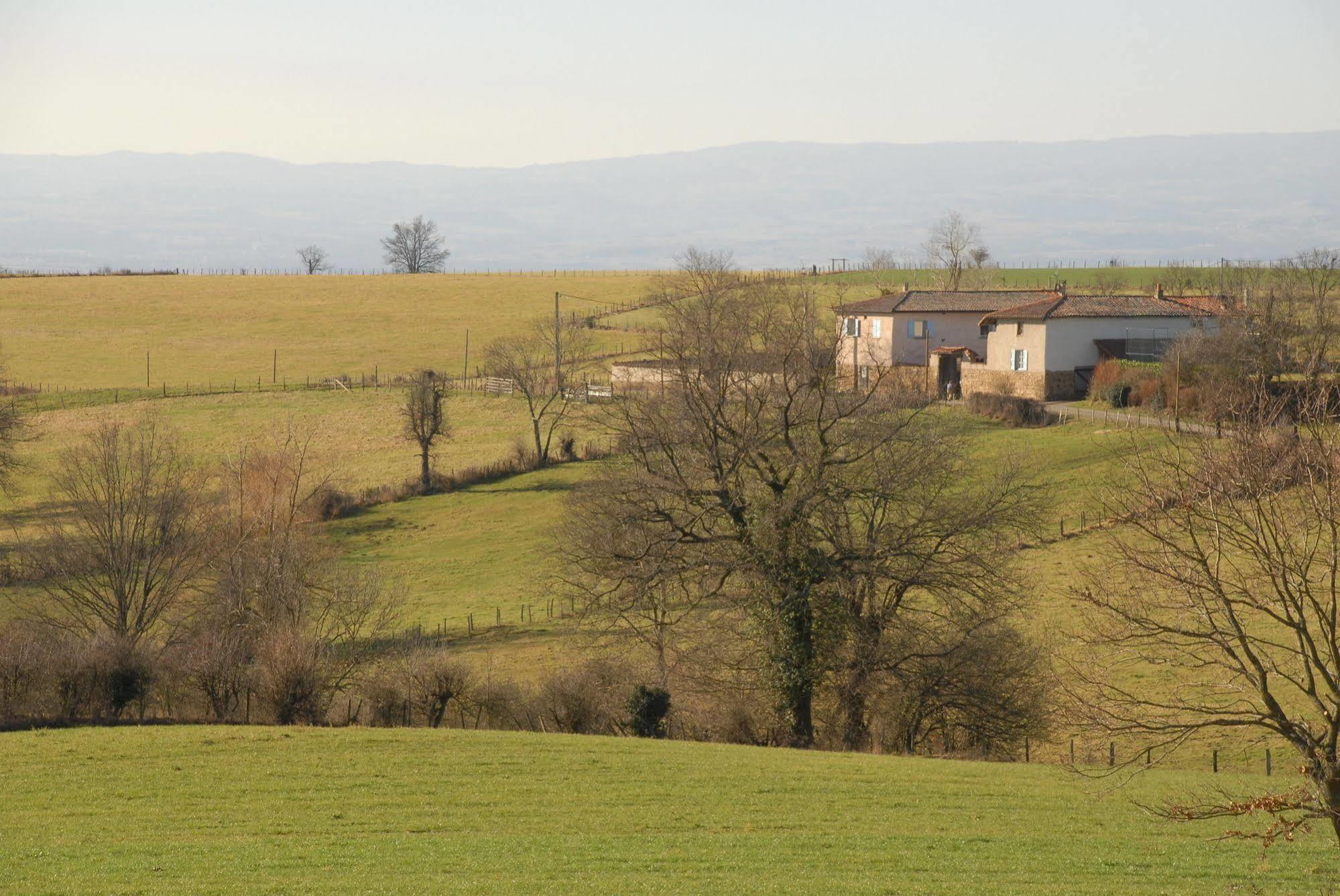 Chez Jacotte Et Elia Bed & Breakfast Saint-Galmier Luaran gambar